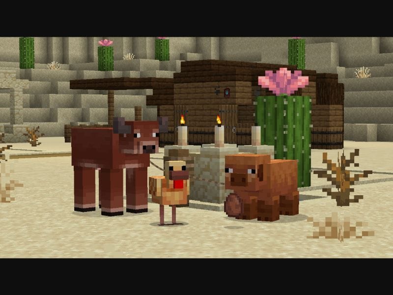 Minecraft Spring to Life 1.21.5: Complete Guide to New Features 2025